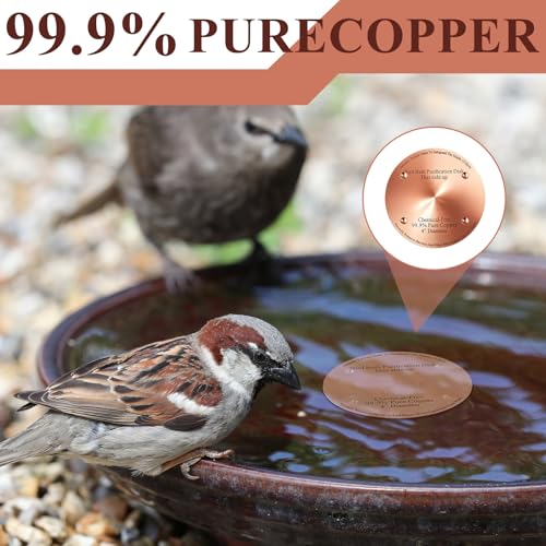 8 Pcs 4" Bird Bath Copper Disc, 0.6mm Thick | For Outdoor Birdbath Bowls Cleaner, Chemical-free Purification, Reinforced with 4 Point Support, Helps Prevent Algae - style: Classic