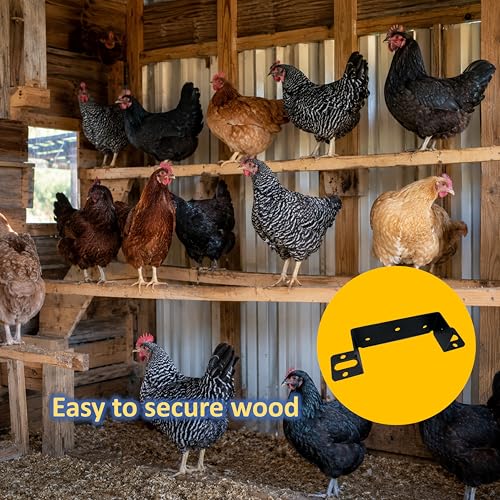 【2 Pack】 Heavy Duty Iron Chicken Coop Roost Bar Brackets, Solid Steel Poultry Perch Mount Holders for 1.4x4 Flat Lumber, Strong Roosting Bar Support for Chicken Coops & Turkey Houses - size: 40in