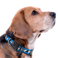 Pets First NFL Carolina Panthers Licensed PET COLLAR, Small - Heavy-Duty, Strong, and Durable Dog Collar. Available in 31 Football Teams and 4 Sizes - color: Carolina Panthers, size: Small