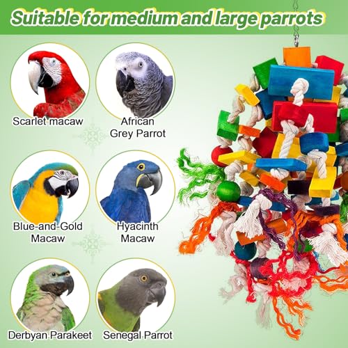 Large Parrot Toy, Multicolored Natural Wood Blocks Tearing Toys for Birds | MEWTOGO, for African Grey, Macaw, Amazon Parrots, Fun to Climb on, to Swing on, to Chew on, to Unravel, to Preen, Bird Gifts - style: Elliptical