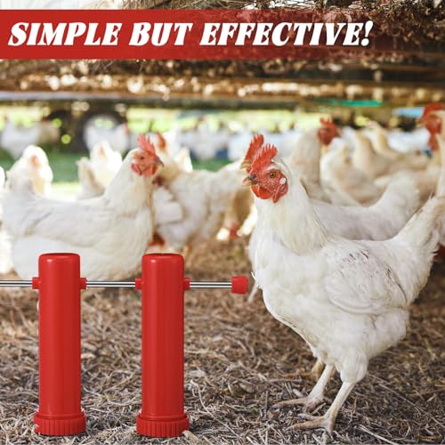 Reallnaive 3 Set Chicken Treat Dispenser Wall Mounted Chicken Feeder Accessories Hanging Treat Dispenser for Indoor Outdoor Coop Hens Poultry Duck Birds