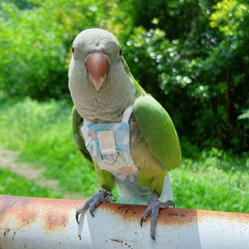 Snap-Closure Parrot Diapers with Adjustable Leash - Washable Bird Flight Suits for Cockatiels, Sun Conures & Quaker Parrots Secure & Chew-Resistant (S – Peachfaced Lovebird + 1m Rope) - size: cockatiel diaper+1 meter rope