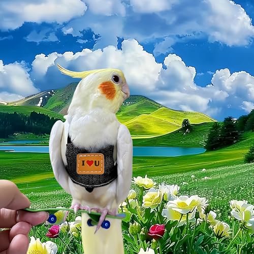 Bird Flight Harness Vest, Parrot Flight Suit with Leash Adjustable Bird Flying Clothes Outdoor Training Traction Rope for Parakeets Cockatiels Conures Budgies Cockatiel-Black,L - color: Black