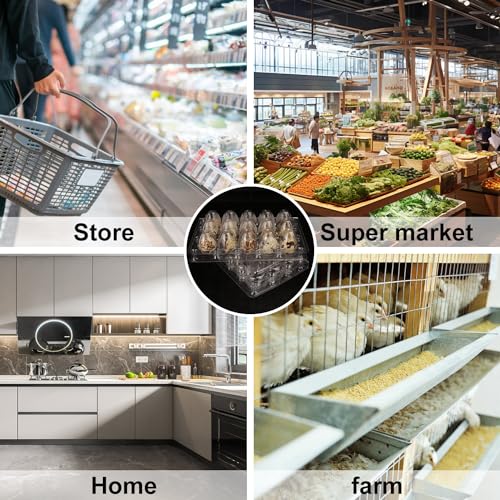 200 Pack Quail Egg Cartons, Clear Plastic Quail Egg Trays, Holds up to 15 Quail Eggs Securely - Your Ultimate Small Eggs Carton Holders for Bulk Storage and Display - size: 15 Grids