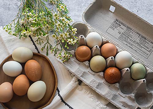 Blank 12-Egg Flat Top Paper Pulp Egg Carton with Nutrition Facts, Safe Handling Info, Optional UPC - 125 Pack