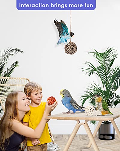 Bissap 6PCS Small Parrot Chew Toys, Sola Balls Conure Chewing Foraging Toys Colorful Bird Foot Balls for Cockatiels Cockatoos Parakeets Love Birds Small Parrot Cage Bite Toys - style: Balls
