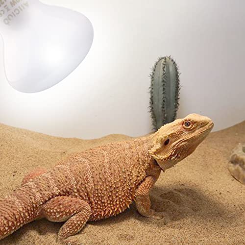 Aiicioo Reptile Basking Light Bulb - 50W Reptile Heat Lamp 2 Pack UVA Daylight Amphibians Basking Bulb for Bearded Dragon Turtle Hermit Crab Gecko Lizard Daylight - color: ['White'], size: ['50W']