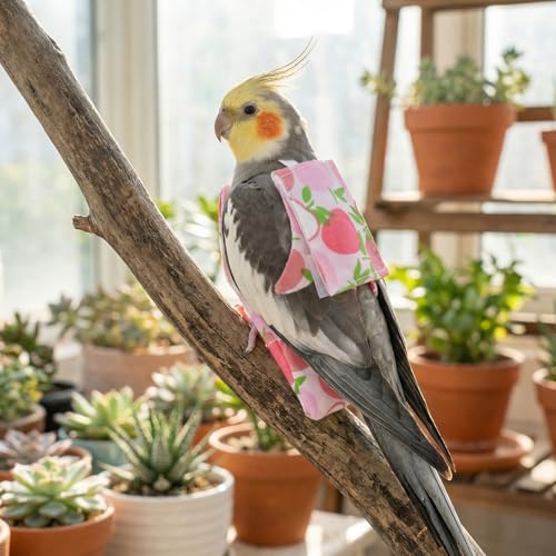 5 Pcs Bird Diaper, Parrot Nappy with Waterproof Inner Cute Parrot Pants Reusable Cockatiel Clothes Flight Suit for Parakeet Cockatiel Mini Macaw Budgie Canary