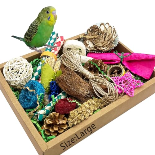 Bird Foraging Toys Parrot Chew Shredding Toys Parakeet Cage Accessories | Colorful,Box Packaging,Cockatiel Toys,for Parakeets Cockatiels Conures Lovebirds,Helps Reduce Stress & Cage Boredom - color: Colorful