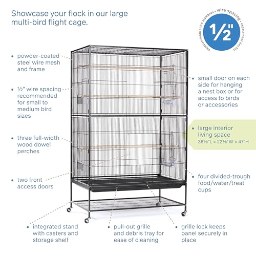 Prevue Hendryx Pet Products Wrought Iron Flight Cage - Big Rolling Bird Cage for Parakeets, Cockatiels, Conures, Lovebirds, Canaries, Finches, Parrotlets, & Caiques, 5 Ft - X-Large, Hammertone Black - color: Black, size: 37.0"L x 23.0"W x 60.0"H