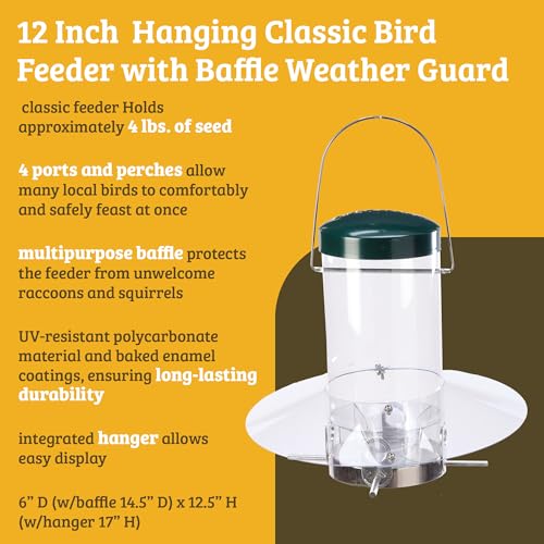 Birds Choice Classic Hanging Bird Feeder with Weatherguard Baffle | Squirrel Proof Bird Feeder for Cardinals, Chickadees, Woodpeckers | Sturdy Steel Construction | Backyard Birdseed Dispenser | Green | Squirrel Resistant Steel Construction in Green, for C