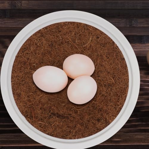 POPETPOP Pigeon Nesting Bowl and Pad Set 4 Bird Mats with 2 Pans Coconut Cushion Bird Egg Nest Accessory for Pigeon Breeding Cage Nesting | Breathable Durable Dove Nesting Box for Small Birds Doves Quails Pigeon Breeding and Hatching - 9.44 X 4.72 Inches
