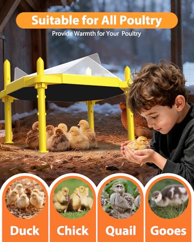 Chick Brooder Heating Plate, 14"x11"Adjustable Temperature & Height Heating Plate for Chicken with Anti-Roost Cone, Easy-Clean Poultry Coop Heater for Up to 18-22 Chicks (Yellow)