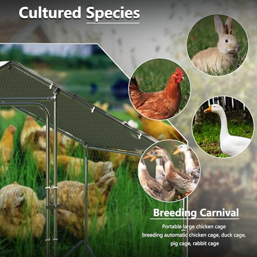 BOSSIN Bold Chicken Coop Run Large Metal Chicken Pen Outdoor, Chicken Runs for Yard with Cover, Poultry Cage Spire Shape Coop, Heavy Duty Walkin Waterproof and Anti-UV Cover for Rabbits - size: 78.0"L x 118.1"W x 76.8"H