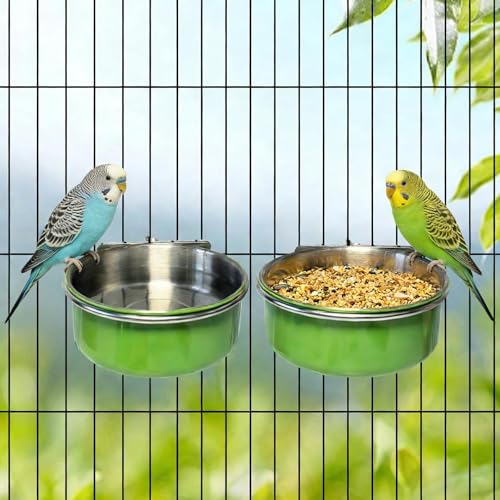 3 Pcs Parrot Feeding Dish Cups,Stainless Steel Bird Food Water Feeder Bowls | Parrot Cage Feeder with Clamp Holder Small Bird Feeding Cup for Parakeet Cockatiels Conure Budgies Chinchilla Small Animal - size: 3pcs Green