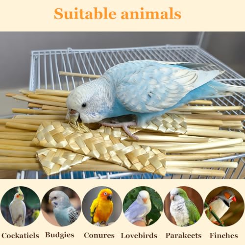 Hamiledyi Natural Bird Toys Foraging Parrot Shredding Toys Wheat Straw Chewing Toy for Cockatiel Lovebird Parakeet Budgie Small-Medium Birds (100 Pieces) - size: 100 pieces