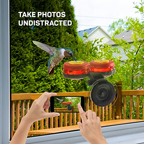Handheld Small Glass Hummingbird Feeders (Set of 4) with Window Suction Mount Base - Window/Handheld or Tabletop Mini Hummingbird Feeders for Outdoors - style: 4 Hand Feeders + suction cup