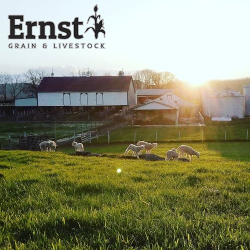 Ernst Grain & Livestock Bird and Wildlife Feed – Perfect for Birds, Ducks, Squirrels, Turkeys, Rabbits, Geese, and Deer – Non-GMO Wild Animal & Bird Feed for Outside Feeders (10 Pounds) - size: 10 Pound (Pack of 1)