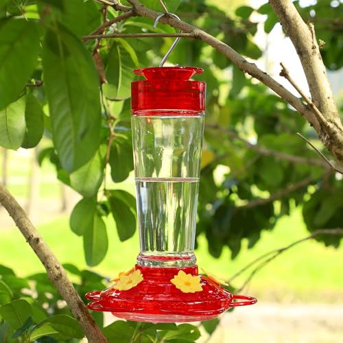 Shrdaepe Hummingbird Feeder, Glass Bottle Bird Feeders, 5 Feeding Ports, 10-Ounce Nectar Capacity, 2 Pack - color: Red & Yellow Flowers