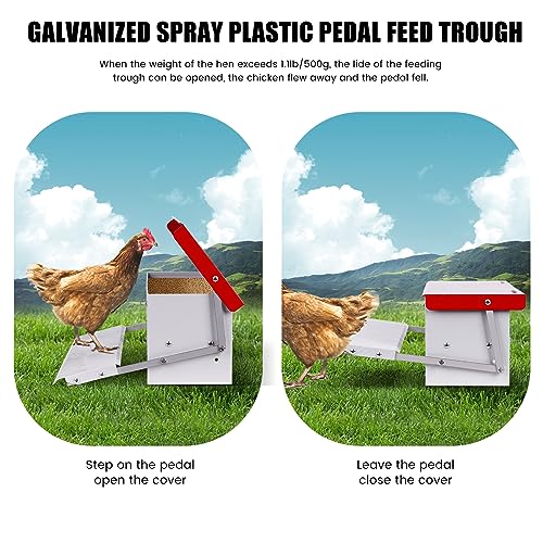 15lb Automatic Chicken Feeder Rat Proof for Duck | Large Treadle Poultry Feeder with Rainproof Lid, Solid Metal Material, No Waste Design, Keeping Feed Dry