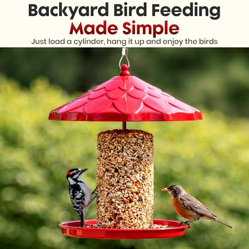 Cylinder Bird Feeder for Outdoors - Hanging Metal Bird Seed Holder | Rust Resistant Metal, Holds Bird Seed Cylinders, Logs & Cakes Up to 6 Inches, 360° Feeding, Easy to Clean