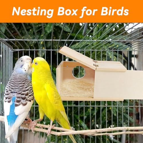 PINVNBY Acrylic Parakeet Nesting Box,Transparent Bird Breeding Box with Detachable Wooden Board Visual Cockatiel House for Budgie Lovebird Conure Parrot (S) - size: Small