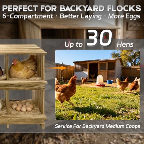 6 Holes Gold Standard Chicken Nesting Box for Laying Eggs, Two-Tier Wooden Nesting Boxes for Chickens, Farmhouse Series Laying Box for Hens, Ducks and Birds - color: Wooden 6-Hole