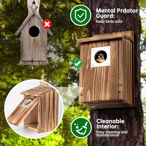 Bird Houses for Outside with Metal Predator Guard for Bluebird Wren Swallow Finch, Carbonized Wooden Nesting Boxes for Outdoor, Sturdy Bird House,Easy to Clean