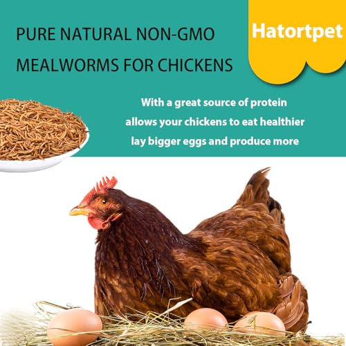 Dried Mealworms 5LB Pure Natural Chicken Treats for Laying Hens Wild Birds | NON-GMO High Protein - size: 5 Pound (Pack of 1)