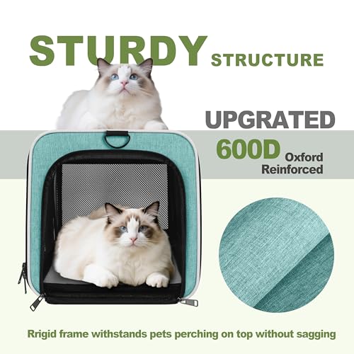 GAPZER Cat Carrier 18"x11"x11" TSA Approved Ventilated Pet Air Travel Cage | Top Open Small Animal Basic Crate, Shih Tzu Dog Softsided Durable Kennel, 4-Mesh-Side Kitty Carry on Case up to 20 lbs Teal - color: Turquoise