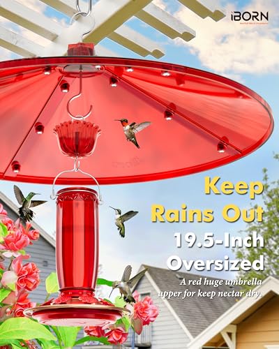 iBorn 19.5-inch Hummingbird Feeders Baffle, Weather Guard, Hanging Bird Feeders Protect, Red, Pack of 1 - color: Red, size: Pack Of 1