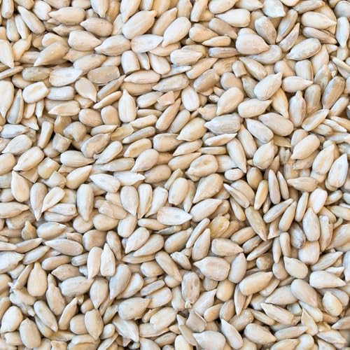 Happy Wings 10LB Sunflower Heart & Chips (Kernels) Bird Food, No Waste | No Mess Feeding, High in Oil & Protein, High Fat & Energy Content, USDA & BRC-GS Approved, Cardinals, Chickadees, Finches - size: 5 Pound (Pack of 2)