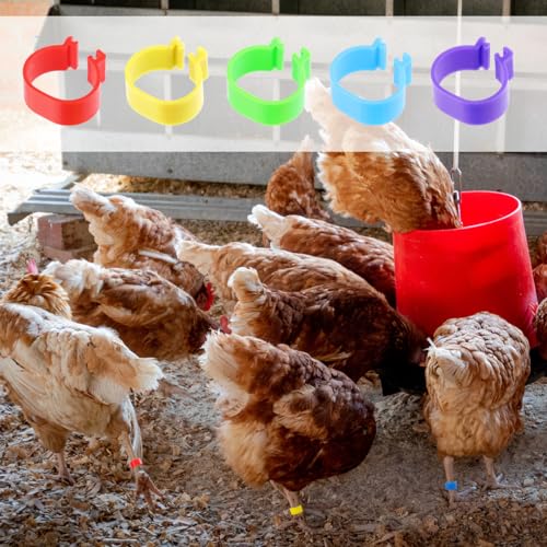 Tenalleys 100 PCS Chicken Identification Band 5Color Chicken Leg Rings 16mm Poultry Foot Rings Leg Bands Clip-on Rings for Poultry Identification