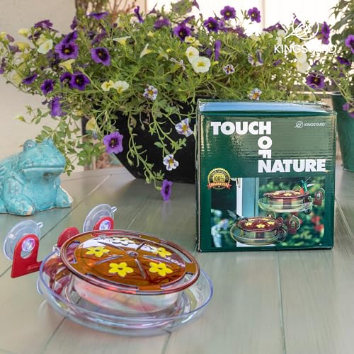 Kingsyard Window Hummingbird Feeder with 3 Extra Strong Suction Cups | Leak-Proof Design, Built-in Ant Moat & 5 Bee-Proof Ports, Circular Perch with 360° Feeding, 8 oz Nectar Capacity (2 Pack)