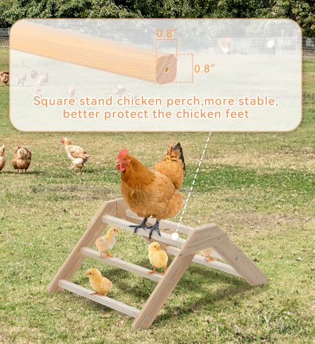 PETSFIT Baby Chick Roosting Bar, Anti-Rotation, Solid Wood, for Brooder | Fits Chicks and Small Birds, Thickened Wooden Perch, Safe for Brooder and Coop, Easy to Assemble and Clean, Non-Toxic Wood
