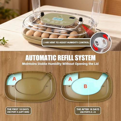 Syluris Incubators for Hatching Eggs, 24 Egg Incubator with Automatic Egg Turning and Humidity Control, Egg Candler, 360° Viewing, Chicken Incubators for Hatching Eggs, Quail Eggs, Duck Eggs Poultry