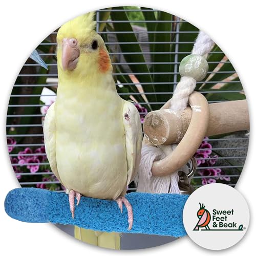 Sweet Feet and Beak Comfort Grip Safety Bird Perch, Large Pedicure Perch | Made from Bird-Safe Concrete Blend, Promotes Feet, Nails and Muscle Stimulation, 13" Perch, Available in 5 Sizes, Yellow - color: Yellow, size: Large 13"