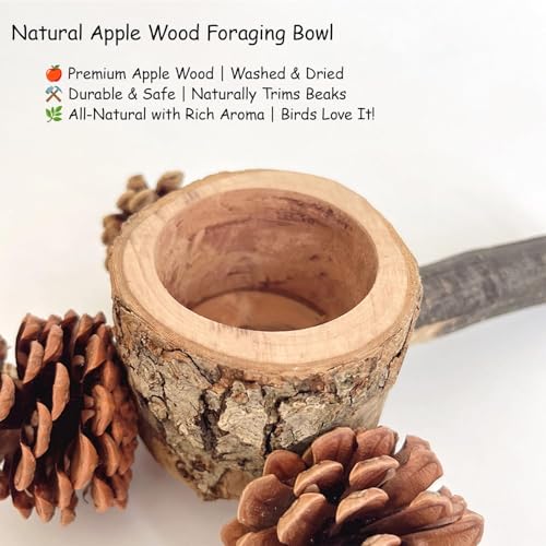 Bird Perch with Feeder for Cage & Chew Toys Pinecones - Bird Cage Accessories 100% Natural & Durable for Cockatiel, Conure, Budgie, Lovebird, Parakeet - Parrot Food Treats Bowl for Foraging