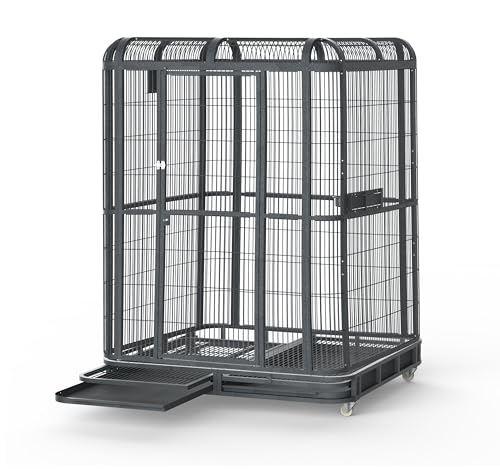 A&E Cage Co WI6262 Walk-in Bird Aviary for Parrots, 62"x62"x79" Black | Key-Lock 69"x25" Door, 3 Swing-Out Feeder Stations, Stainless Steel Bowls, Fits African Greys, Amazons & Cockatoos - size: 62.0"L x 62.0"W x 79.0"H