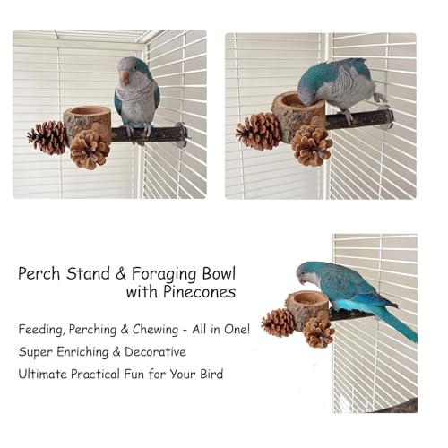 Bird Perch with Feeder for Cage & Chew Toys Pinecones - Bird Cage Accessories 100% Natural & Durable for Cockatiel, Conure, Budgie, Lovebird, Parakeet - Parrot Food Treats Bowl for Foraging