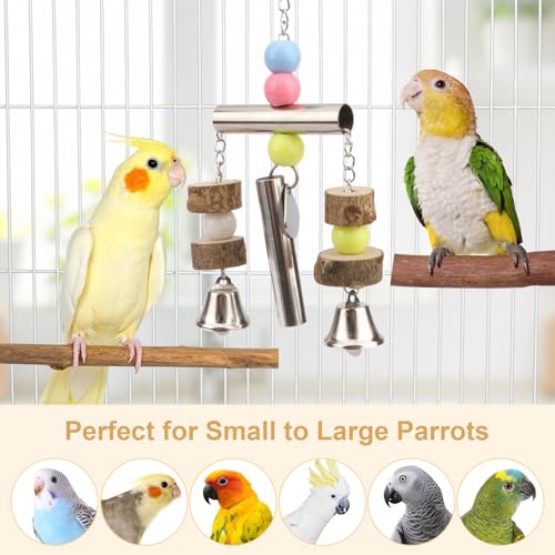 Hypeety Stainless Steel Bird Bells Parrot Hanging Bell Toy for Bird Parrot Macaw African Greys Amazon Cockatoo Parakeet Cockatiels Birds Cage Accessories (Silver) - color: Silver