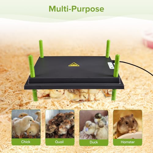 Tetuga Brooder Heat Plate 12 X 16” Chick Heating Plate Warm Up to 40 Chicks | Chicken Heater Plate with Adjustable Height & Angle, Energy-Efficient 30W Chick Warmer Safer Than Brooder Lamp - size: 12x16 Inch