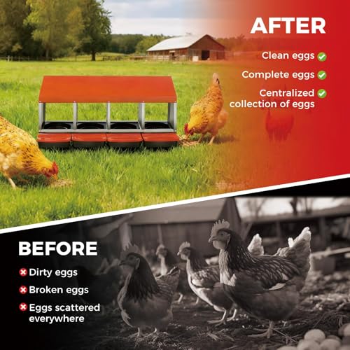 4 Holes Chicken Nesting Boxes for Laying Eggs, Wall-Mounted & Floorstanding Nesting Boxes for Chickens Ducks Geese, for Farm Backyard Chicken Coops, Orange - color: Orange, size: 4 Holes
