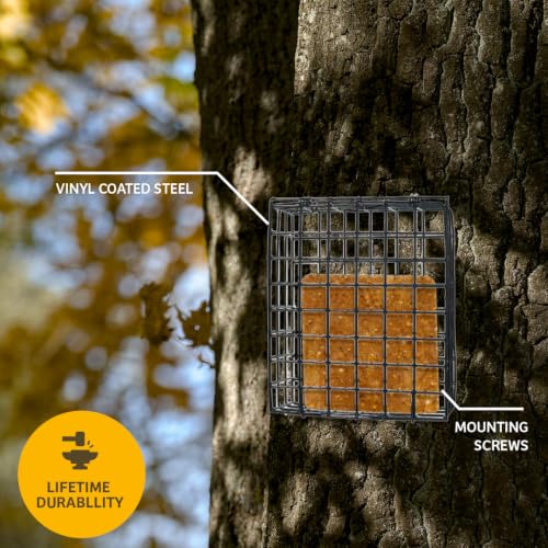 Birds Choice Seed & Suet Block Cage Feeder | Hanging Bird Suet Feeder for Woodpeckers, Jays, Nuthatches | Durable Vinyl Coated Grid with Chain | Easy Mount for Trees or Decks | 8" L x 3" W x 7" H | Durable Vinyl Coated Grid with Hanging Chain, Easy Mount