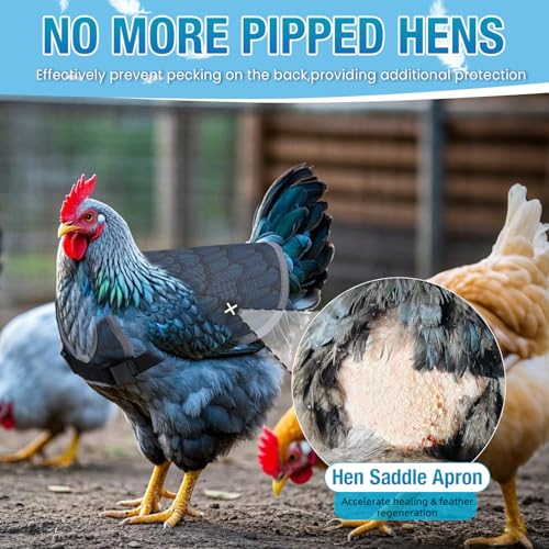 Chicken Saddle for Hens - Chicken Aprons for Hens With Adjustable Straps, Chicken Aprons & Vest Jacket for Hens - style: Black Feather