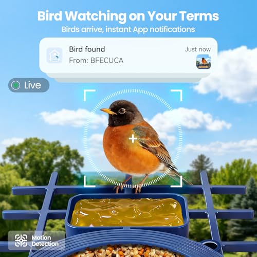 Smart Bird Feeder with Camera : 2K HD Video Live Stream, AI Birds Species Identification ＆ Instant Arrival Alerts, Solar Bird Feeder Camera for Outdoor Backyard - Ideal Gifts for Mom Dad Birdlovers - color: Blue