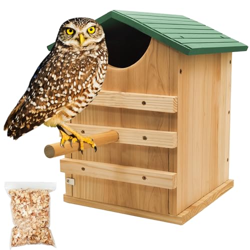 Screech Owl House 14 x 10 Inch, Cedar Wood Owl Box with Bird Stand Design, Owl Nesting Box with Mounting Screws and Wood Shavings - style: Bird Stand Design