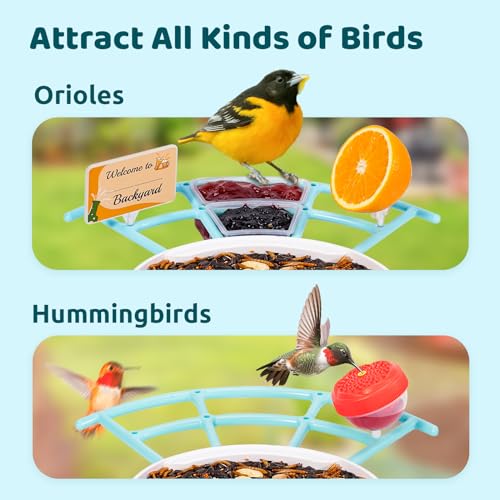 NETVUE by Birdfy Pro Smart Bird Feeder with Camera Solar Panel, Instant Arrival Alerts, Live Stream & Night Vision for Outdoors & Backyard Hummingbird, Cardinalis & Oriole Watching, Ideal Gifts, Blue - color: Blue, style: Pro