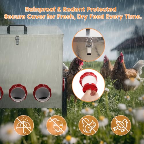 50LB Automatic Chicken Feeder with Cover – Large Capacity Metal Chicken Coop Feeder with 8 Feed Ports, Adjustable Legs Rainproof No Waste Outdoor Poultry Feeder for Hens & Free Range Flocks - size: 50LBS