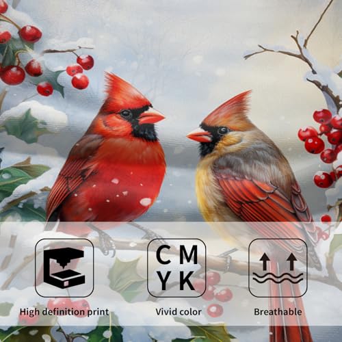 Winter Red Bird Hand Towels Pack of 2 Sweet Couple Cardinal Fingertip Towels Birds Holly Berry Branches Snow Christmas Holiday Bathroom Towels Soft Fast Drying Face Towel for Kitchen Spa Gym - color: Winter Bird
